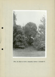 Ewidencja parkowa, skan nr 36