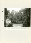 Ewidencja parkowa, skan nr 46