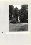 Ewidencja parkowa, skan nr 48