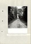 Ewidencja parkowa, skan nr 49