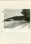 Ewidencja parkowa, skan nr 55