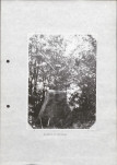 Ewidencja parkowa, skan nr 26