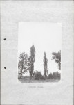 Ewidencja parkowa, skan nr 29