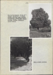 Ewidencja parkowa, skan nr 20