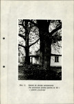 Ewidencja parkowa, skan nr 32