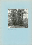 Ewidencja parkowa, skan nr 23