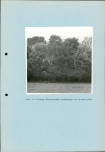 Ewidencja parkowa, skan nr 27