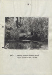 EP - Ewidencja parkowa, skan nr 36
