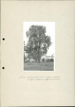 EP - Ewidencja parkowa, skan nr 28
