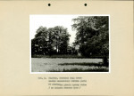 Ewidencja parkowa, skan nr 32