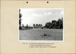 Ewidencja parkowa, skan nr 38