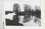 Ewidencja parkowa, skan nr 34