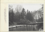 Ewidencja parkowa, skan nr 26