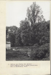 Ewidencja parkowa, skan nr 25
