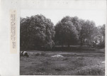 Ewidencja parkowa, skan nr 20