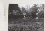 Ewidencja parkowa, skan nr 22