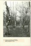 Ewidencja parkowa, skan nr 28