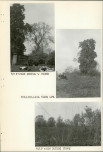 Ewidencja parkowa, skan nr 16