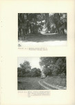 Ewidencja parkowa, skan nr 19