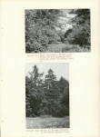 Ewidencja parkowa, skan nr 23