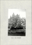 Ewidencja parkowa, skan nr 19