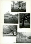 Ewidencja parkowa, skan nr 20