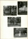 Ewidencja parkowa, skan nr 21