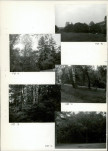 Ewidencja parkowa, skan nr 22
