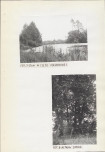 Ewidencja parkowa, skan nr 21