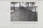 Ewidencja parkowa, skan nr 37