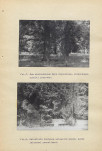 Ewidencja parkowa, skan nr 52