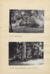 Ewidencja parkowa, skan nr 54