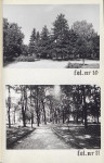 Ewidencja parkowa, skan nr 29