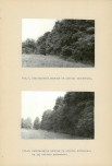 Ewidencja parkowa, skan nr 41