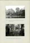 Ewidencja parkowa, skan nr 40