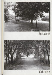Ewidencja parkowa, skan nr 20