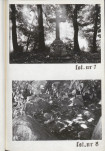 Ewidencja parkowa, skan nr 22