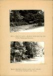 Ewidencja parkowa, skan nr 32