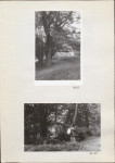 EP - Ewidencja parkowa, skan nr 29