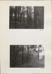 EP - Ewidencja parkowa, skan nr 31