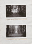 Ewidencja parkowa, skan nr 30