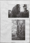Ewidencja parkowa, skan nr 30