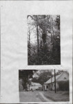 Ewidencja parkowa, skan nr 31
