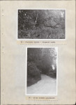 EP - Ewidencja parkowa, skan nr 43