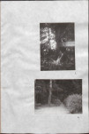 Ewidencja parkowa, skan nr 35