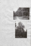 Ewidencja parkowa, skan nr 36
