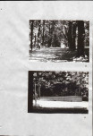 Ewidencja parkowa, skan nr 40