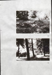 Ewidencja parkowa, skan nr 41