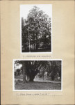 EP - Ewidencja parkowa, skan nr 22