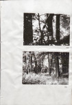 Ewidencja parkowa, skan nr 50